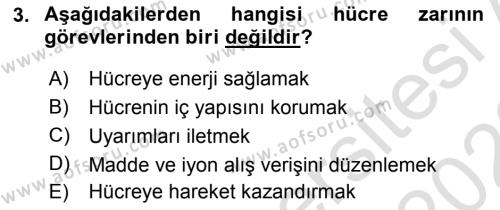 Temel Veteriner Histoloji ve Embriyoloji Dersi 2021 - 2022 Yılı Yaz Okulu Sınavı 3. Soru