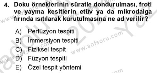 Temel Veteriner Histoloji ve Embriyoloji Dersi 2021 - 2022 Yılı Yaz Okulu Sınavı 4. Soru