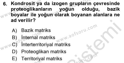 Temel Veteriner Histoloji ve Embriyoloji Dersi 2021 - 2022 Yılı Yaz Okulu Sınavı 6. Soru