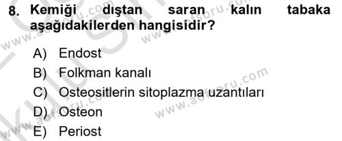 Temel Veteriner Histoloji ve Embriyoloji Dersi 2021 - 2022 Yılı Yaz Okulu Sınavı 8. Soru