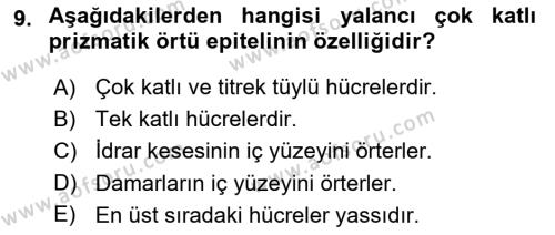 Temel Veteriner Histoloji ve Embriyoloji Dersi 2021 - 2022 Yılı Yaz Okulu Sınavı 9. Soru