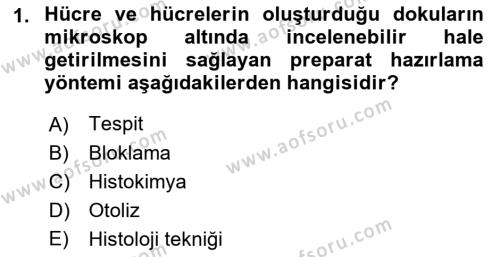 Temel Veteriner Histoloji ve Embriyoloji Dersi 2022 - 2023 Yılı (Final) Dönem Sonu Sınavı 1. Soru