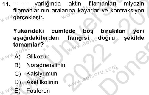 Temel Veteriner Histoloji ve Embriyoloji Dersi 2022 - 2023 Yılı (Final) Dönem Sonu Sınavı 11. Soru