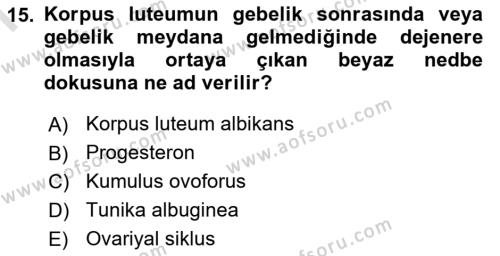 Temel Veteriner Histoloji ve Embriyoloji Dersi 2022 - 2023 Yılı (Final) Dönem Sonu Sınavı 15. Soru