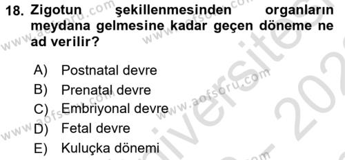 Temel Veteriner Histoloji ve Embriyoloji Dersi 2022 - 2023 Yılı (Final) Dönem Sonu Sınavı 18. Soru