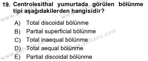 Temel Veteriner Histoloji ve Embriyoloji Dersi 2022 - 2023 Yılı (Final) Dönem Sonu Sınavı 19. Soru