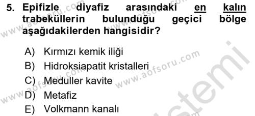 Temel Veteriner Histoloji ve Embriyoloji Dersi 2022 - 2023 Yılı (Final) Dönem Sonu Sınavı 5. Soru