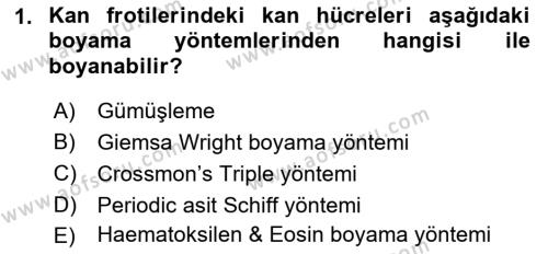 Temel Veteriner Histoloji ve Embriyoloji Dersi 2022 - 2023 Yılı Yaz Okulu Sınavı 1. Soru