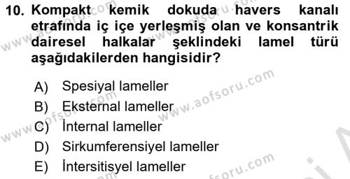 Temel Veteriner Histoloji ve Embriyoloji Dersi 2022 - 2023 Yılı Yaz Okulu Sınavı 10. Soru