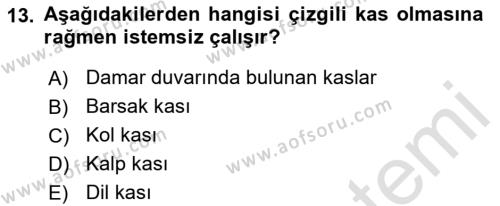 Temel Veteriner Histoloji ve Embriyoloji Dersi 2022 - 2023 Yılı Yaz Okulu Sınavı 13. Soru