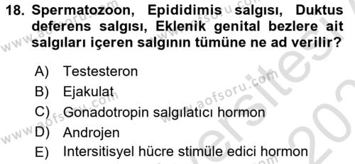 Temel Veteriner Histoloji ve Embriyoloji Dersi 2022 - 2023 Yılı Yaz Okulu Sınavı 18. Soru