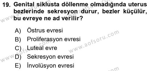 Temel Veteriner Histoloji ve Embriyoloji Dersi 2022 - 2023 Yılı Yaz Okulu Sınavı 19. Soru