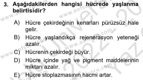 Temel Veteriner Histoloji ve Embriyoloji Dersi 2022 - 2023 Yılı Yaz Okulu Sınavı 3. Soru