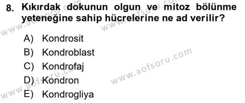 Temel Veteriner Histoloji ve Embriyoloji Dersi 2022 - 2023 Yılı Yaz Okulu Sınavı 8. Soru