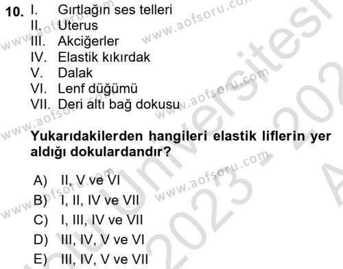 Temel Veteriner Histoloji ve Embriyoloji Dersi 2023 - 2024 Yılı (Vize) Ara Sınavı 10. Soru