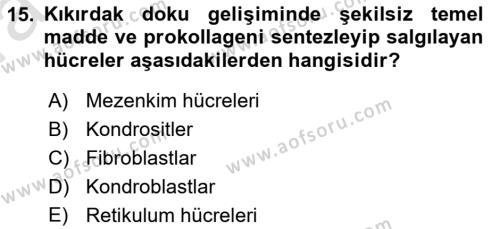 Temel Veteriner Histoloji ve Embriyoloji Dersi 2023 - 2024 Yılı (Vize) Ara Sınavı 15. Soru