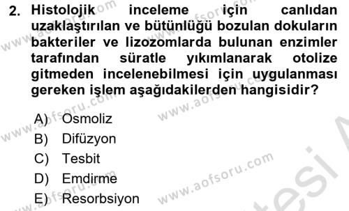 Temel Veteriner Histoloji ve Embriyoloji Dersi 2023 - 2024 Yılı (Vize) Ara Sınavı 2. Soru