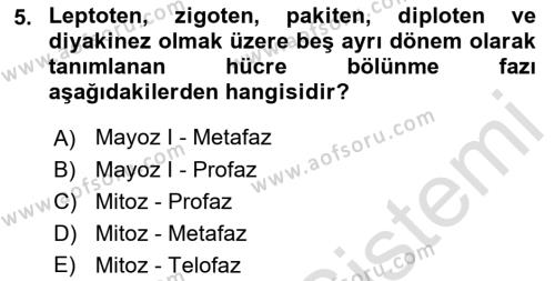 Temel Veteriner Histoloji ve Embriyoloji Dersi 2023 - 2024 Yılı (Vize) Ara Sınavı 5. Soru