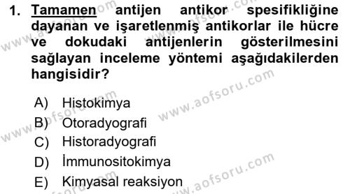 Temel Veteriner Histoloji ve Embriyoloji Dersi 2023 - 2024 Yılı (Final) Dönem Sonu Sınavı 1. Soru