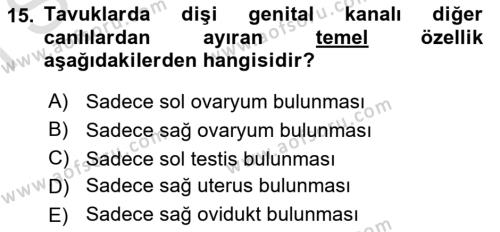 Temel Veteriner Histoloji ve Embriyoloji Dersi 2023 - 2024 Yılı (Final) Dönem Sonu Sınavı 15. Soru