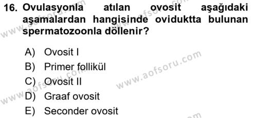 Temel Veteriner Histoloji ve Embriyoloji Dersi 2023 - 2024 Yılı (Final) Dönem Sonu Sınavı 16. Soru