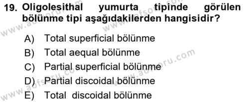 Temel Veteriner Histoloji ve Embriyoloji Dersi 2023 - 2024 Yılı (Final) Dönem Sonu Sınavı 19. Soru