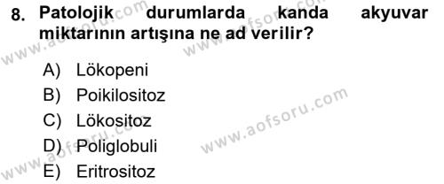 Temel Veteriner Histoloji ve Embriyoloji Dersi 2023 - 2024 Yılı (Final) Dönem Sonu Sınavı 8. Soru