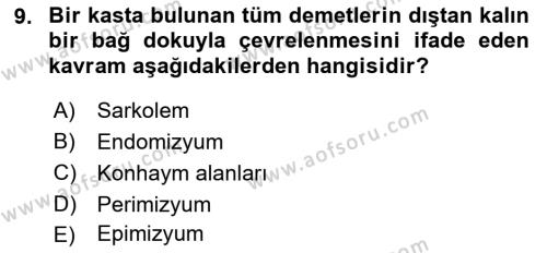 Temel Veteriner Histoloji ve Embriyoloji Dersi 2023 - 2024 Yılı (Final) Dönem Sonu Sınavı 9. Soru