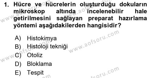 Temel Veteriner Histoloji ve Embriyoloji Dersi 2023 - 2024 Yılı Yaz Okulu Sınavı 1. Soru