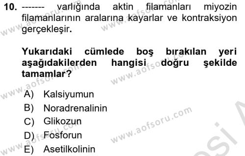 Temel Veteriner Histoloji ve Embriyoloji Dersi 2023 - 2024 Yılı Yaz Okulu Sınavı 10. Soru