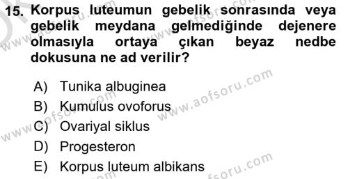 Temel Veteriner Histoloji ve Embriyoloji Dersi 2023 - 2024 Yılı Yaz Okulu Sınavı 15. Soru