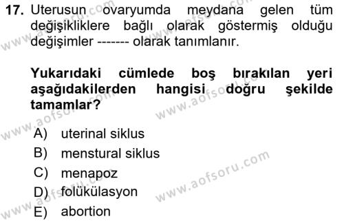 Temel Veteriner Histoloji ve Embriyoloji Dersi 2023 - 2024 Yılı Yaz Okulu Sınavı 17. Soru