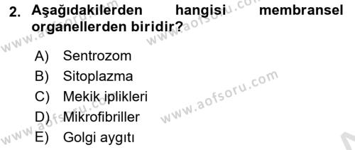 Temel Veteriner Histoloji ve Embriyoloji Dersi 2023 - 2024 Yılı Yaz Okulu Sınavı 2. Soru