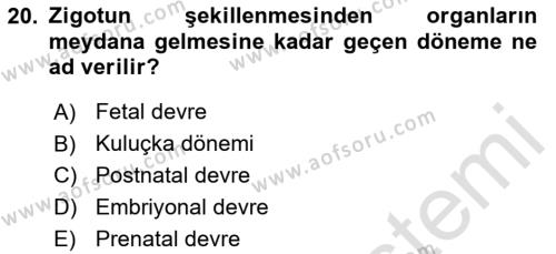 Temel Veteriner Histoloji ve Embriyoloji Dersi 2023 - 2024 Yılı Yaz Okulu Sınavı 20. Soru