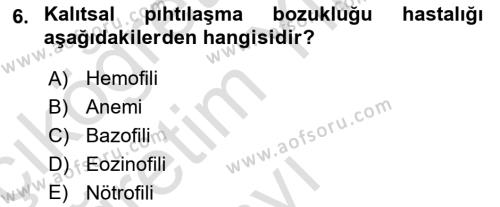 Temel Veteriner Histoloji ve Embriyoloji Dersi 2023 - 2024 Yılı Yaz Okulu Sınavı 6. Soru