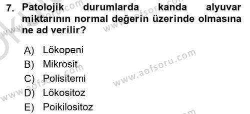 Temel Veteriner Histoloji ve Embriyoloji Dersi 2023 - 2024 Yılı Yaz Okulu Sınavı 7. Soru