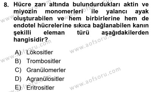 Temel Veteriner Histoloji ve Embriyoloji Dersi 2023 - 2024 Yılı Yaz Okulu Sınavı 8. Soru