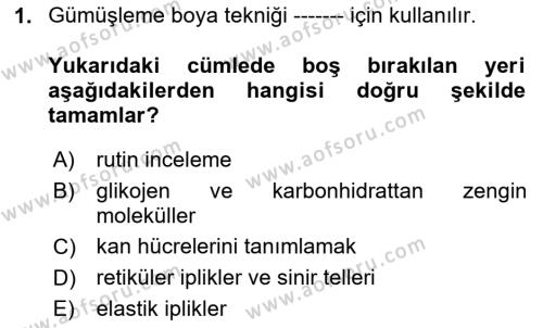 Temel Veteriner Histoloji ve Embriyoloji Dersi 2024 - 2025 Yılı (Vize) Ara Sınavı 1. Soru