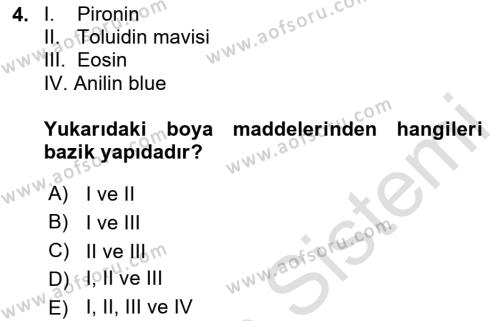 Temel Veteriner Histoloji ve Embriyoloji Dersi 2024 - 2025 Yılı (Vize) Ara Sınavı 4. Soru