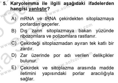 Temel Veteriner Histoloji ve Embriyoloji Dersi 2024 - 2025 Yılı (Vize) Ara Sınavı 5. Soru