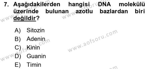 Temel Veteriner Histoloji ve Embriyoloji Dersi 2024 - 2025 Yılı (Vize) Ara Sınavı 7. Soru