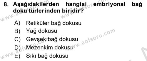 Temel Veteriner Histoloji ve Embriyoloji Dersi 2024 - 2025 Yılı (Vize) Ara Sınavı 8. Soru