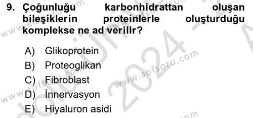 Temel Veteriner Histoloji ve Embriyoloji Dersi 2024 - 2025 Yılı (Vize) Ara Sınavı 9. Soru