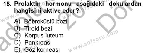 Temel Veteriner Biyokimya Dersi 2012 - 2013 Yılı (Final) Dönem Sonu Sınavı 15. Soru