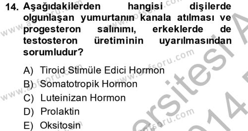 Temel Veteriner Biyokimya Dersi 2013 - 2014 Yılı (Final) Dönem Sonu Sınavı 14. Soru