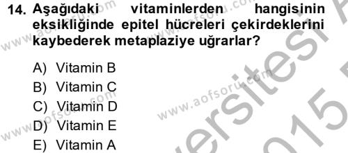 Temel Veteriner Biyokimya Dersi 2014 - 2015 Yılı (Final) Dönem Sonu Sınavı 14. Soru