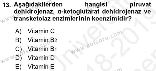 Temel Veteriner Biyokimya Dersi 2018 - 2019 Yılı (Final) Dönem Sonu Sınavı 13. Soru