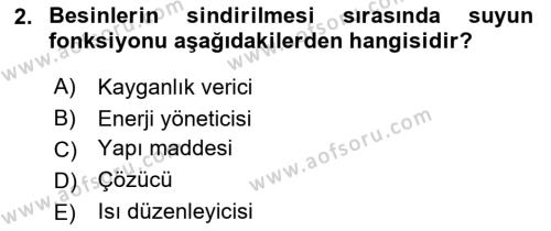 Temel Veteriner Biyokimya Dersi 2020 - 2021 Yılı Yaz Okulu Sınavı 2. Soru