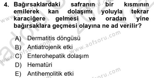 Temel Veteriner Biyokimya Dersi 2020 - 2021 Yılı Yaz Okulu Sınavı 4. Soru