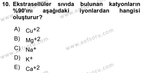 Temel Veteriner Biyokimya Dersi 2021 - 2022 Yılı Yaz Okulu Sınavı 10. Soru